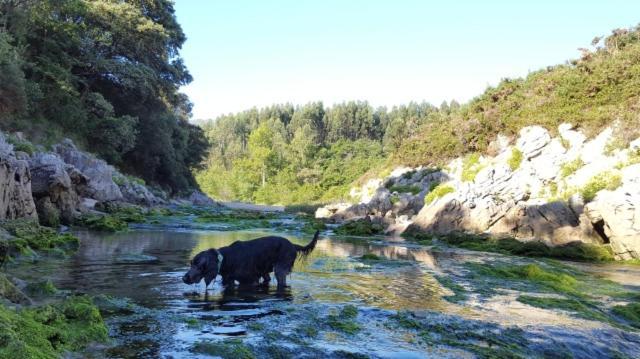 Apartamento Rural Lago Ercina Onís Eksteriør billede
